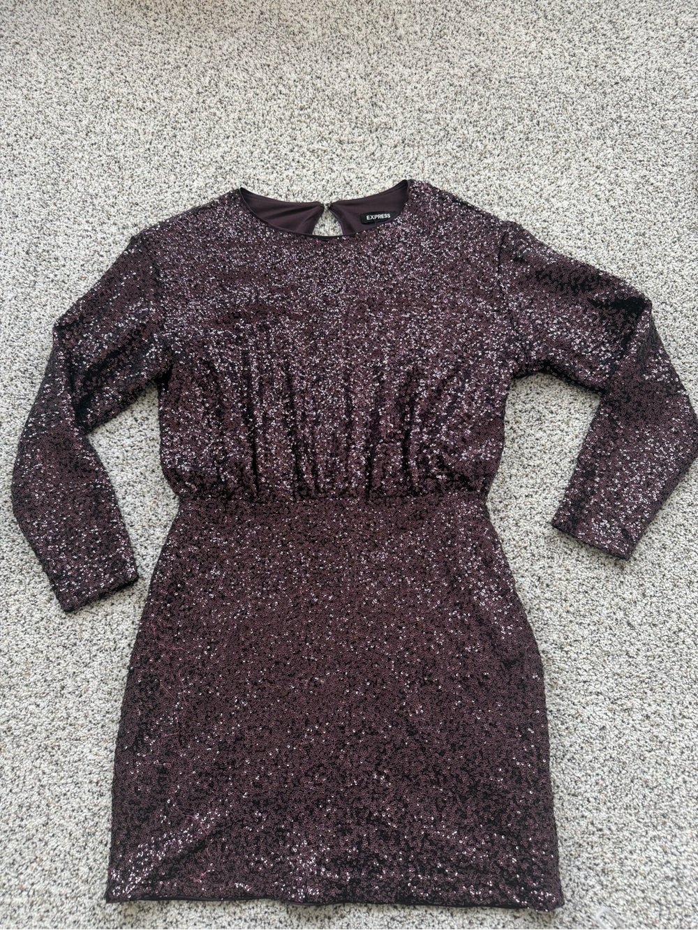 Express Long Sleeve Sequin Mini Dress in Plum
